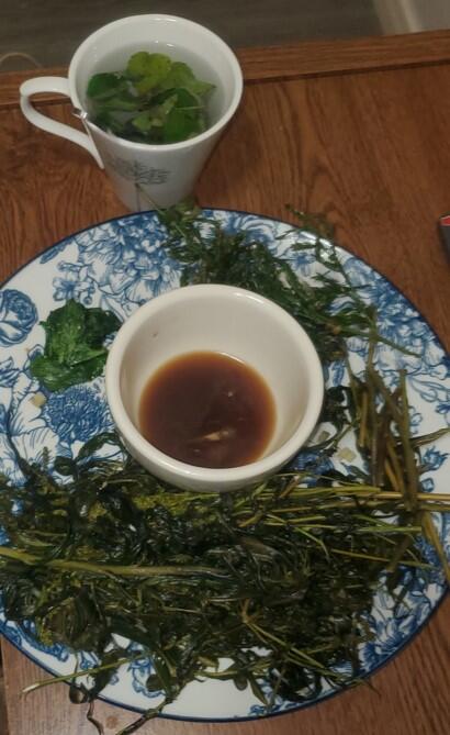 Charles' native plant dinner