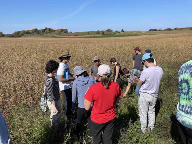 soybean in foreground