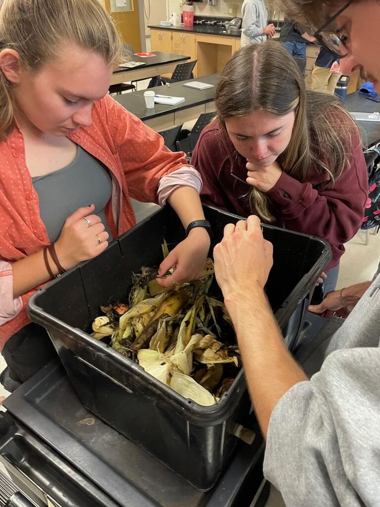 vermiculture home kitchen waste composting