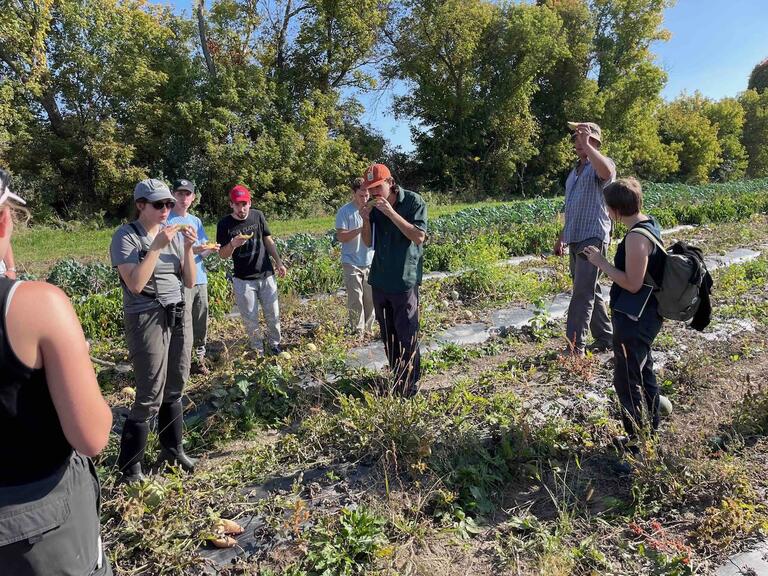 Anybody for very fresh watermelon?