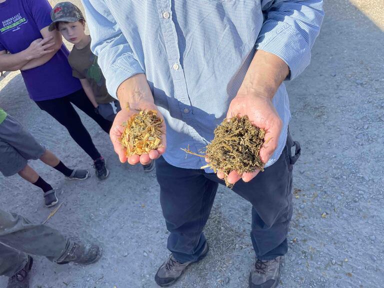 the two silage types