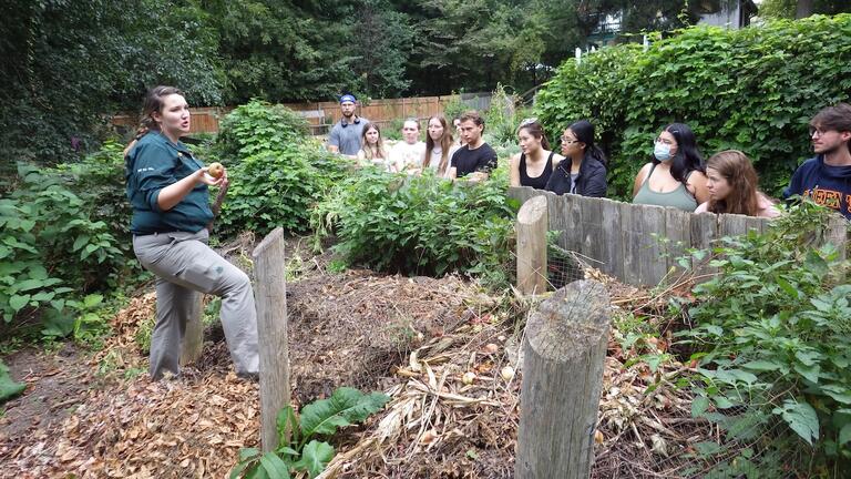 students observing compost