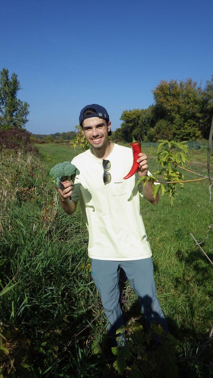 Dylan very happy with his harvest of broccoli and peppers