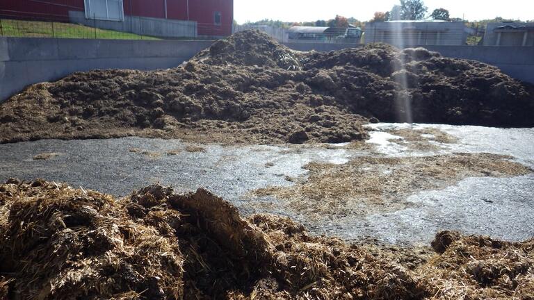 manure pile