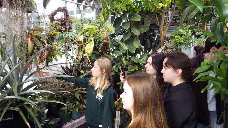 Tropical conservatory visit