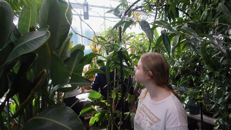 Plant diversity in the Biosciences complex