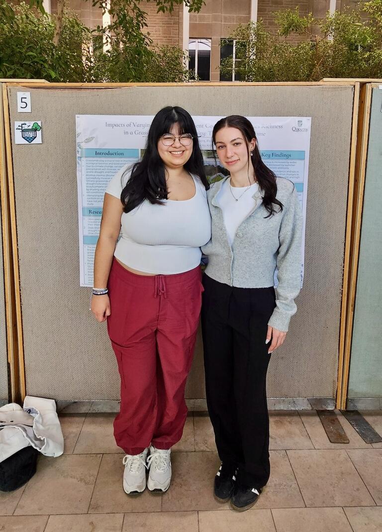 TErena's winning poster