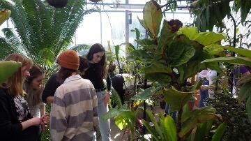 class viewing tropical plants