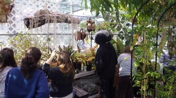 class viewing tropical plants