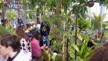 class viewing tropical plants
