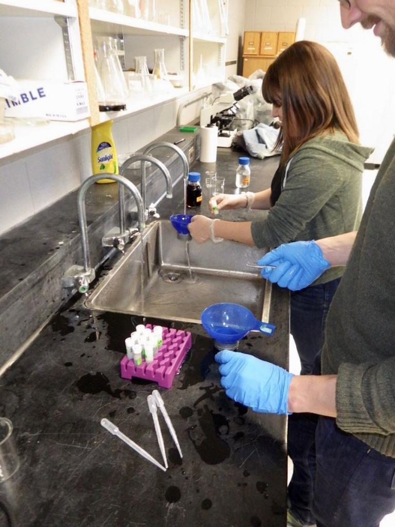 Root washing: Quality control