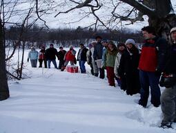Class of 2007 at mature forest site