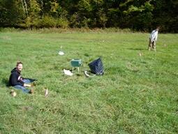 Measuring ecosystem CO2 exchange fluxes in a grassland