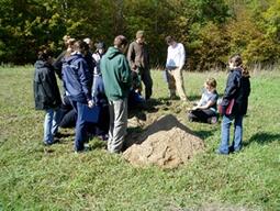 Examining profile of a soil pit