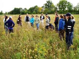  this fallow (unplanted) field