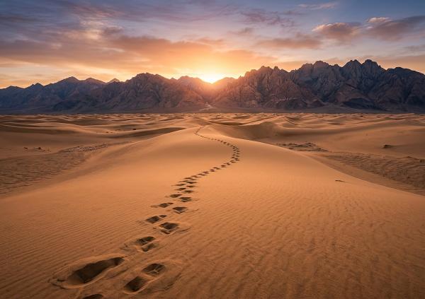 Footprints across a vast desert