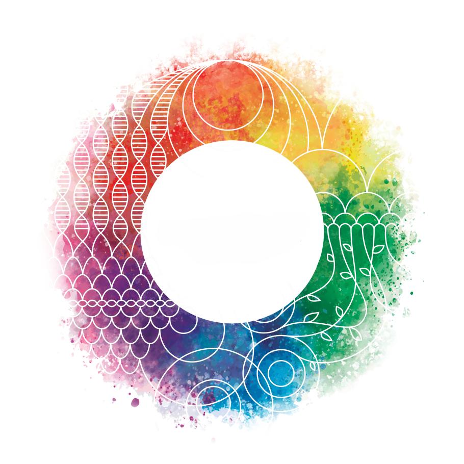 A circle of colour and swirling shapes