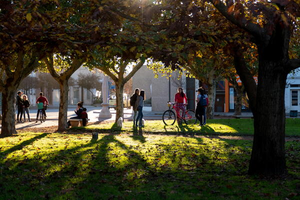 University Campus