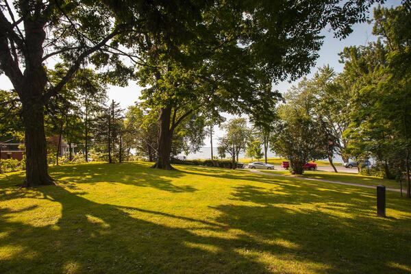 Front lawn facing Lake Ontario