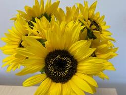 Sunflowers in a Queen's Mug