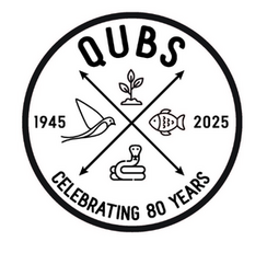 QUBS Logo