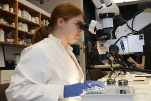 Student studies a specimen under a microscope