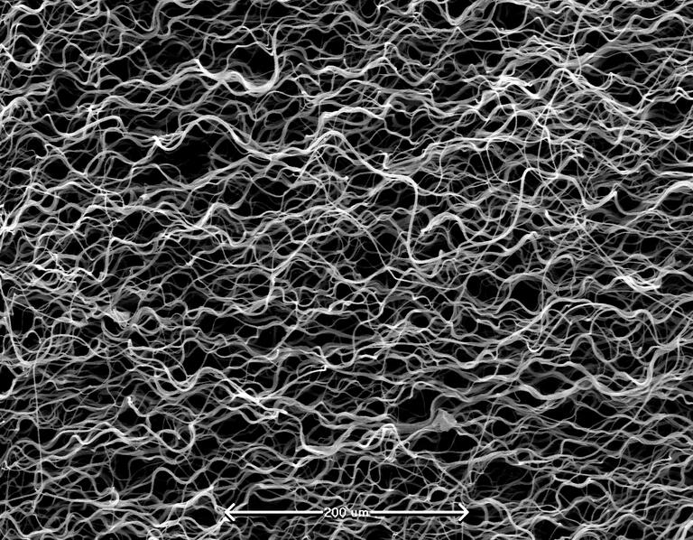 Scanning electron microscopy of a bioengineered fibrous scaffold made from synthetic biomaterials with a wavy pattern