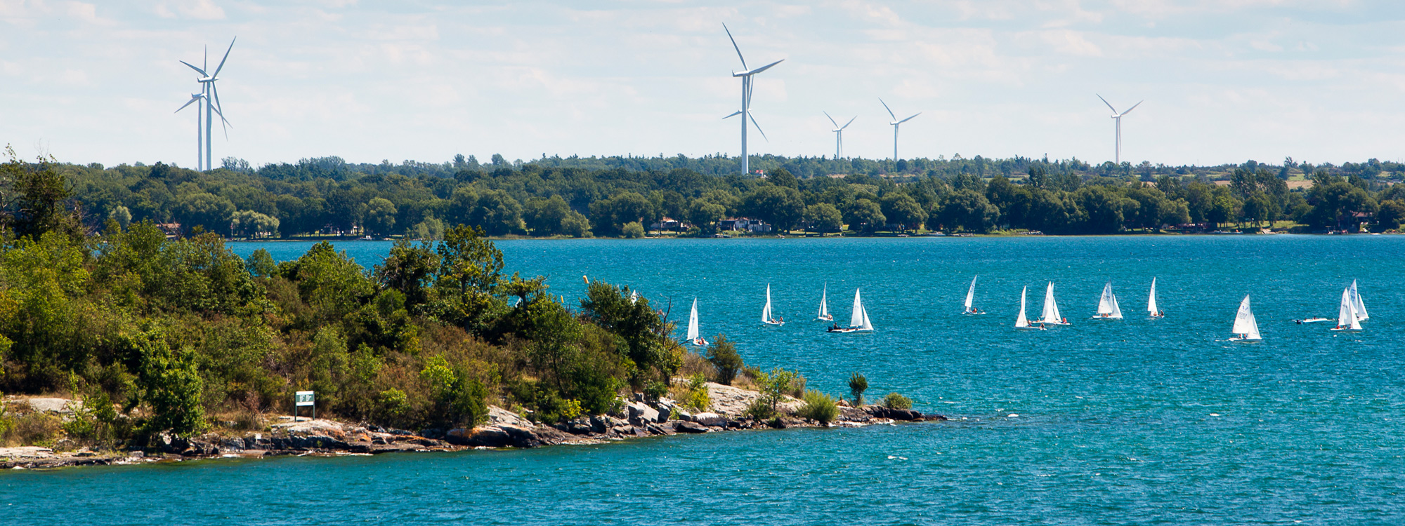 sail boats on Lake Ontario