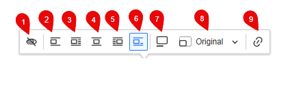 Alignment Options