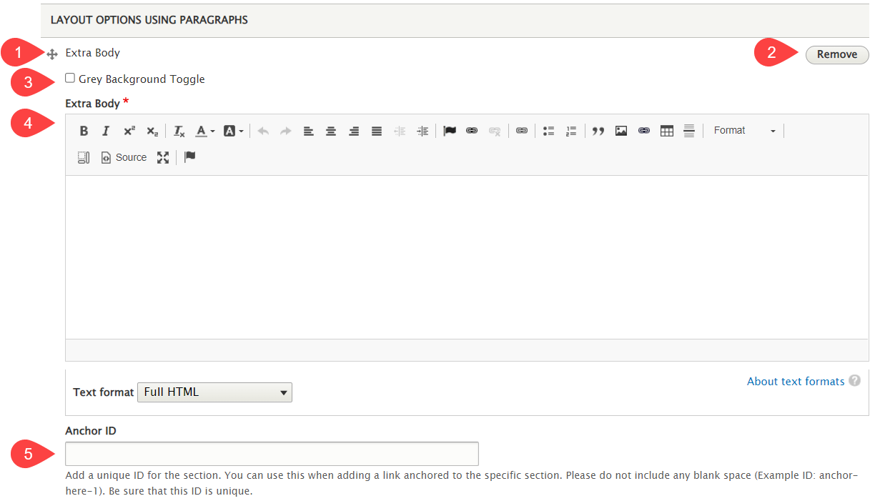 Screenshot of the extra body paragraph fields