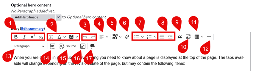 Annotated screenshot of WYSIWYG options