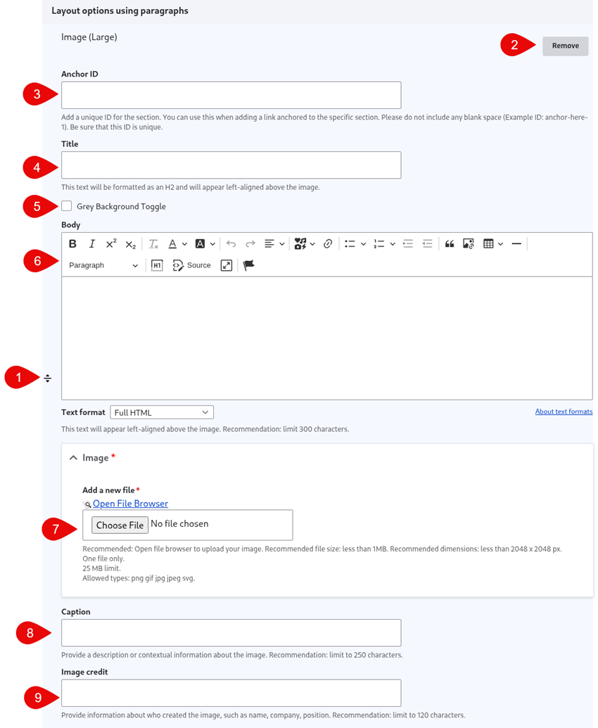 Annotated screenshot of image (large) options
