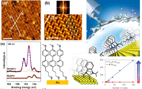 Surface Chemistry and Scanning Probe Microscopy infographic